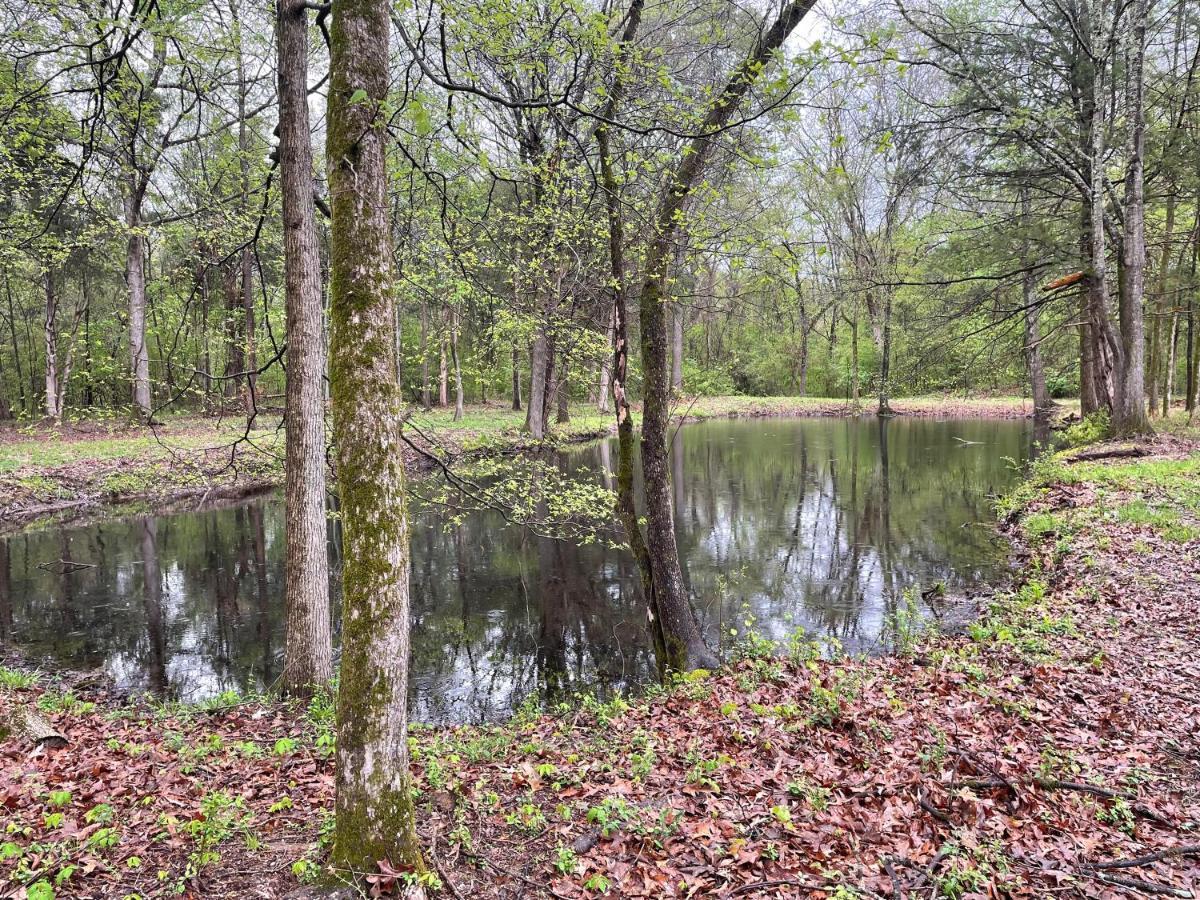 Charming Tiny Home! Close To Oxford, Sardis Lake, Safari Animal Zoo エクステリア 写真