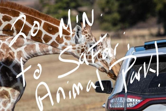 Charming Tiny Home! Close To Oxford, Sardis Lake, Safari Animal Zoo エクステリア 写真